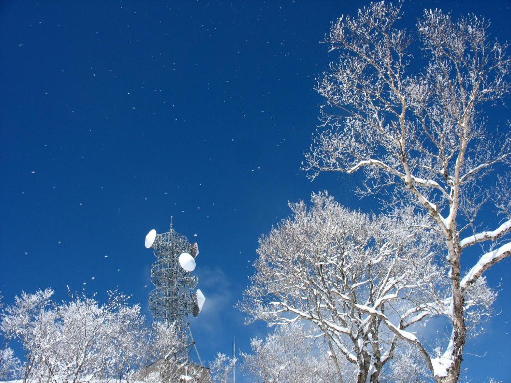 Nozawa Onsen Hotel المظهر الخارجي الصورة